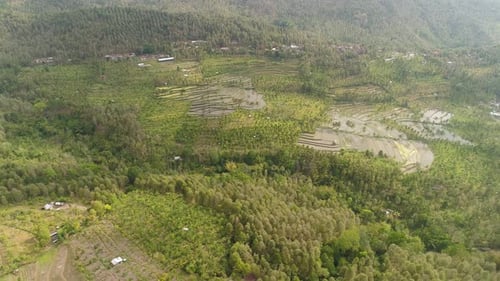 Tropical Landscape with Agricultural Land in Indonesia