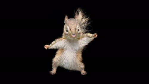 Chipmunk Walk 4K