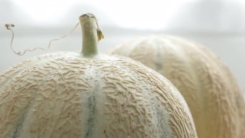 Fond alimentaire de melons frais inclinables 4K 2160p 30 images par seconde, vidéo UltraHD - Inclinaison lente sur le cucurbitac