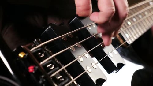 Bass Guitar Player