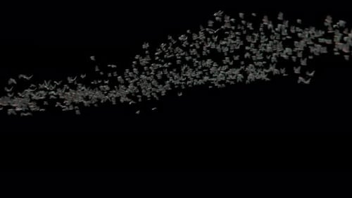 Bat 4K