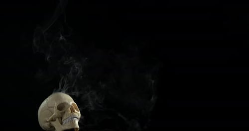 Aggressive Human Skull