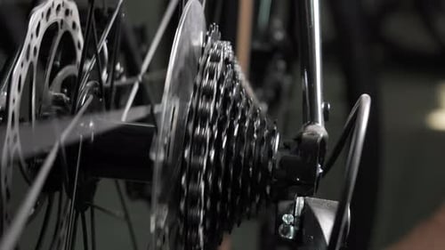 Bicycle Wheel Gear and Chain in Motion