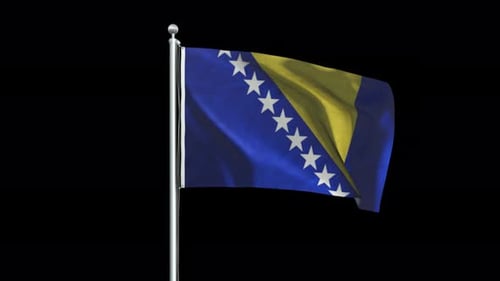 Bosnia Flag Big