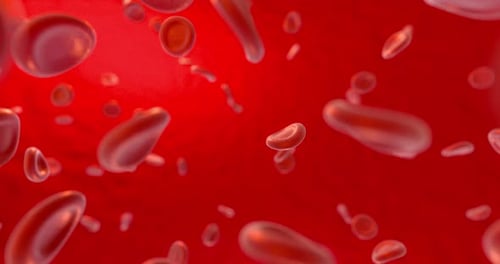 Dynamic Red Blood Cells Flowing Through a Medical Vessel