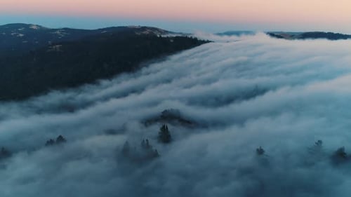 Rolling Low Fog