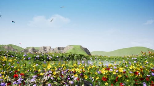Blick auf die Blume