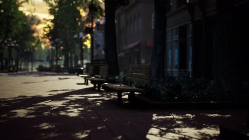 Moving Sunlight and Tree Shadows on a Park Bench