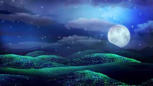 Magical Fairy Land