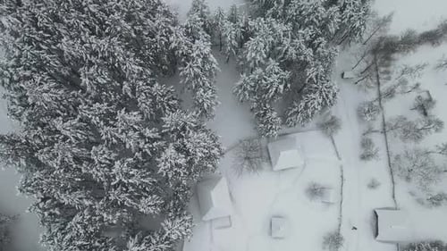 Snowy Village and Forest from Above in Winter