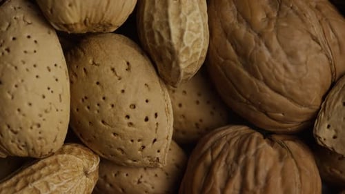 Close Up of Shelled Almonds, Walnuts and Peanuts