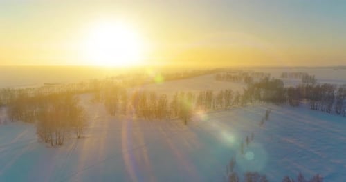 Aerial Drone View of Cold Winter Landscape with Arctic Field Trees Covered with Frost Snow and