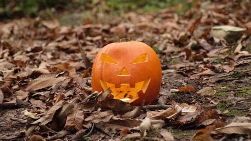 Halloween Scary Pumpkin Lantern in the Forest