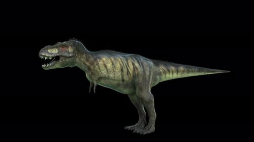 Tyrannosaurus Dinosaur 4K