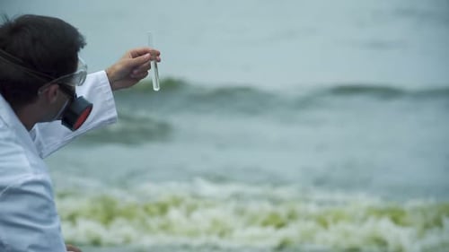 Scientist Examining Water Sample on Overcast Beach Day