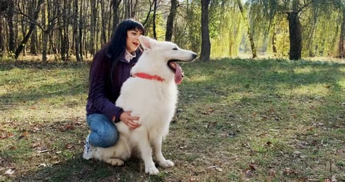 Happy Female Cheerfully Playing and Sitting with Dog in the Autumn Park. Love and Friendship with