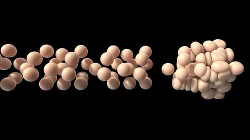 3d Soft Sphere Fat Cell Medical Tissue Design Atherosclerosis Cholesterol