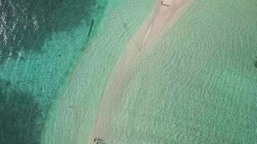 Paradise Tropical Beach