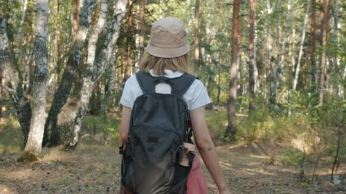 Back View of Young Woman Walking in Forest with Backpack Looking at Beautiful View