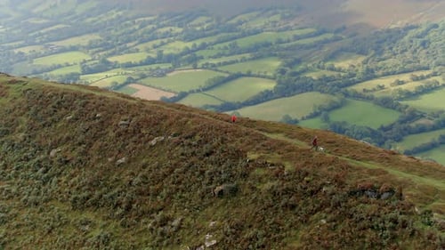Hikers With Dog on Grassy Hilltop Trail