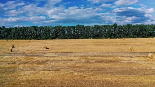 Countryside natural landscape. Haystack harvest agriculture farm field