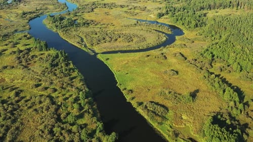 Luftaufnahme: Grüner Wald, Wald und Flusslandschaft an sonnigen Sommertagen