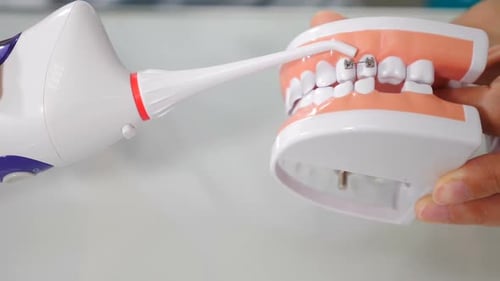Mundhygiene für Zahnspangen. Konzept der kieferorthopädischen Behandlung. Unterrichten von Zahnpflege. Zahnarzt zeigt