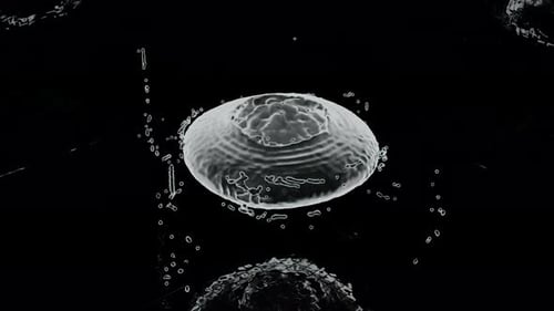 Dynamic Liquid Splash Ring Forms on Black Background