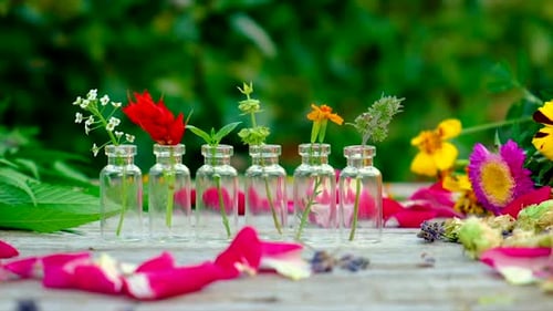 Floral Arrangement with Flowers in Glass Bottles
