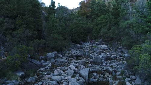 Drone Shot of Rocky Valley Stream and Evergreens