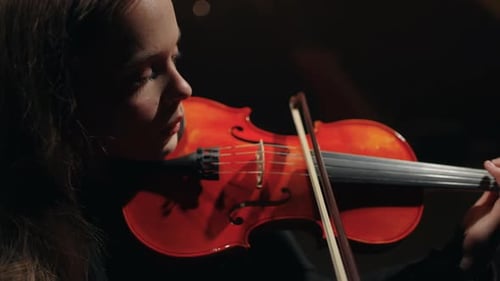 Talented Woman with Red Fiddle is Playing in Symphonic Orchestra on Scene of Music Hall Portrait