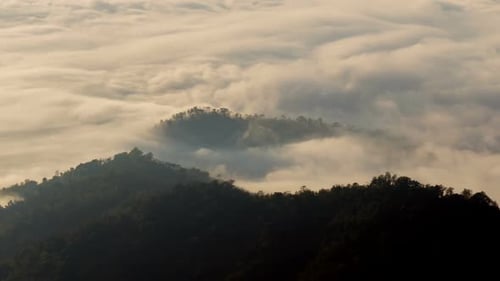 Nebel