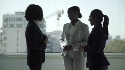 Professional Businesswomen Talking in Office