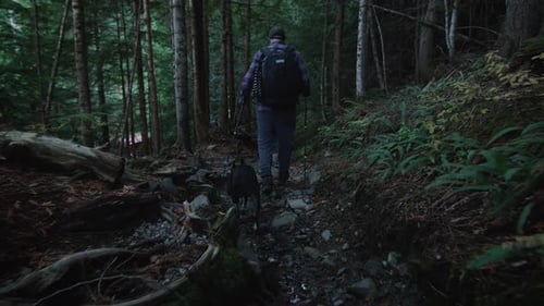Dog And Hiker Reaching Trails End In Rugged Wilderness Terrain