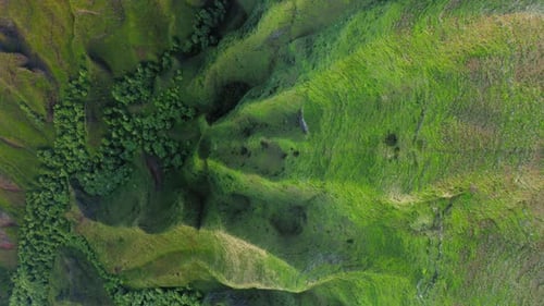 Aerial Observation From Above Over the Mountain Hollow Totally Covered with Tropical Grass