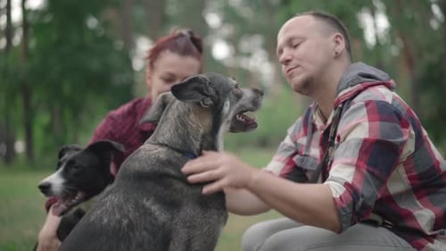 Side View of Smiling Man Stroking Dog and Talking with Pet As Blurred Woman and Domestic Animal