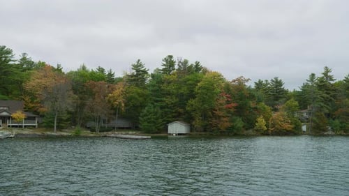 Lake Houses Surrounded by Trees on Overcast Day