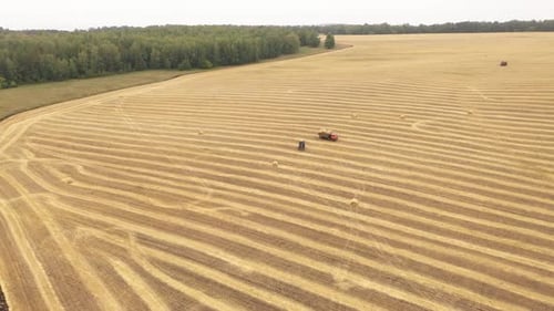 Helikopter Ansicht Landmaschinen Arbeiten im Feld Harvesting