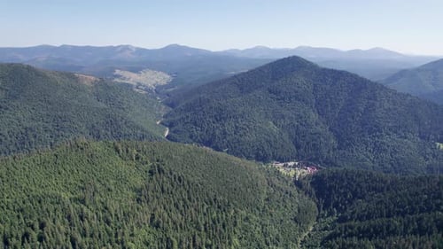 Panoramic Aerial View of the Carpathian Mountains with a Dense Green Pine Forest