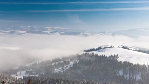 Sunrise at Winter Mountain Forest Aerial