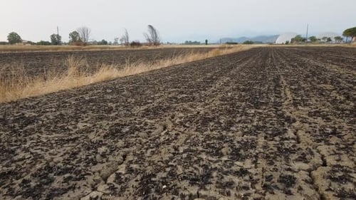 Dry Field Without Water