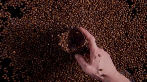 Moedor de café giratório Closeup com grãos explodidos em Barista Hand Top View