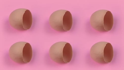 Egg Shells on Pink Background