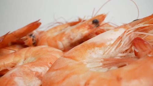 Cooked Shrimp Pile Close Up Food Presentation