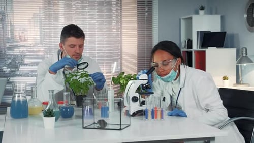 Scientists Conducting Research in Lab with Microscope