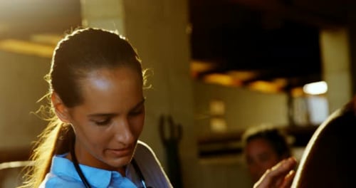 Veterinarian Checking Animal in Clinic