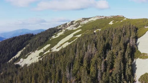 Evergreen Forest on Top of High Stone Mountain Under Blue Sky