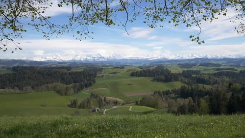 Wide shot of rural green landscape with meadow and forest trees in front of snowy mountains range. S