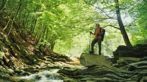 Senior Male Hiker with Backpack and Nordic Walking PolesStanding on a Large Rock