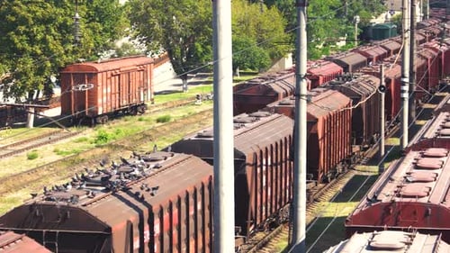 Freight Trains on Cargo Terminal
